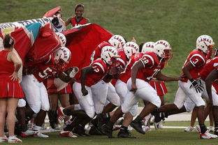 开云·体育官方网站入口-青年教练员资格认证考试报名已正式启动,青少年教练技术课程安排